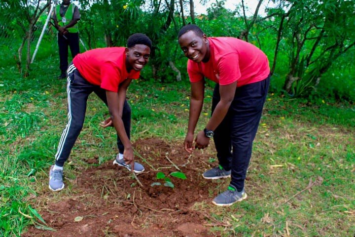 Kamuzu Academy Annual Tree Planting exercise 2025 - Image 7